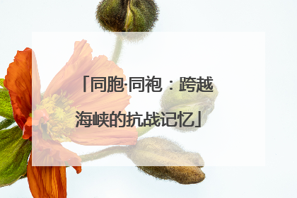 同胞·同袍：跨越海峡的抗战记忆