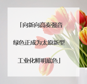向新向高奏强音 绿色正成为太原新型工业化鲜明底色