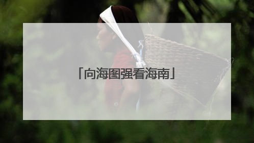 向海图强看海南