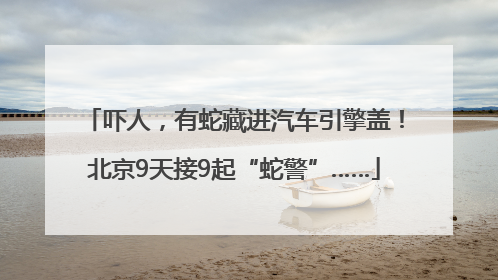 吓人，有蛇藏进汽车引擎盖！北京9天接9起“蛇警”……