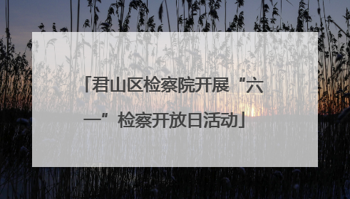 君山区检察院开展“六一”检察开放日活动