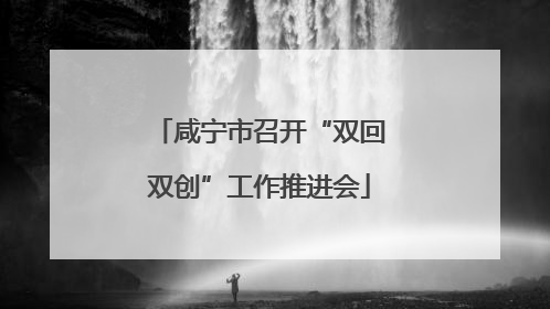 咸宁市召开“双回双创”工作推进会