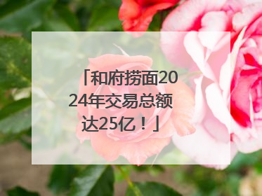 和府捞面2024年交易总额达25亿！