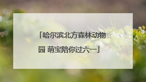 哈尔滨北方森林动物园 萌宝陪你过六一
