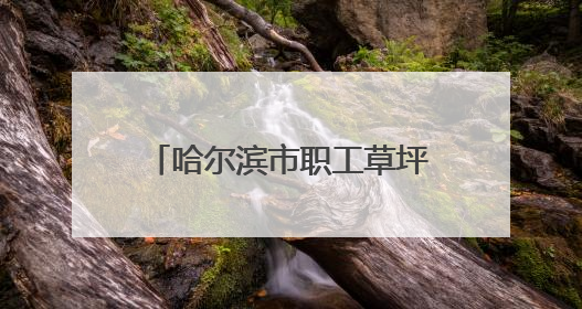 哈尔滨市职工草坪歌会在平房区举办
