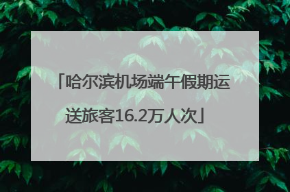 哈尔滨机场端午假期运送旅客16.2万人次
