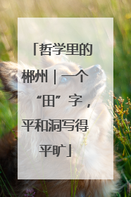 哲学里的郴州｜一个“田”字，平和洞写得平旷