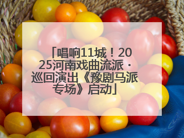 唱响11城！2025河南戏曲流派・巡回演出《豫剧马派专场》启动