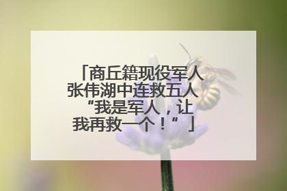 商丘籍现役军人张伟湖中连救五人 “我是军人，让我再救一个！”