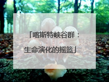 喀斯特峡谷群：生命演化的摇篮