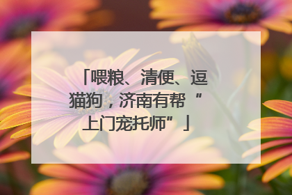 喂粮、清便、逗猫狗，济南有帮“上门宠托师”