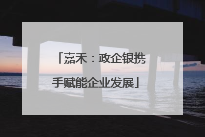 嘉禾：政企银携手赋能企业发展