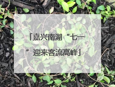 嘉兴南湖“七一”迎来客流高峰