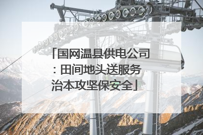国网温县供电公司：田间地头送服务 治本攻坚保安全