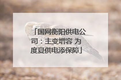 国网衡阳供电公司：主变增容 为度夏供电添保障