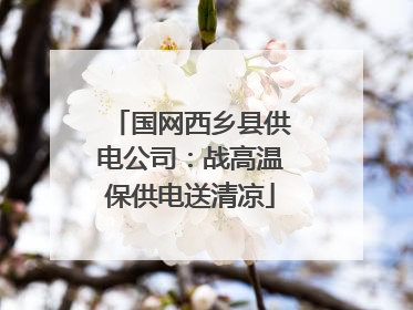 国网西乡县供电公司：战高温保供电送清凉