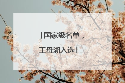 国家级名单，王母湖入选