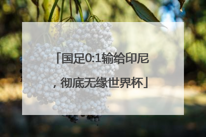 国足0:1输给印尼，彻底无缘世界杯