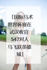 国际马术世界杯赛在武汉收官 547对人马飞跃英雄城