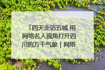 四天走访五城 用网络名人视角打开四川的万千气象｜网络名人四川行