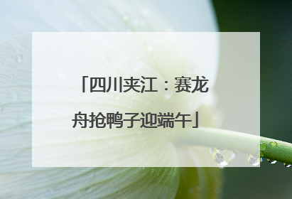 四川夹江：赛龙舟抢鸭子迎端午