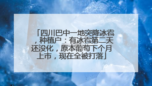 四川巴中一地突降冰雹，种植户：有冰雹第二天还没化，原本葡萄下个月上市，现在全被打落