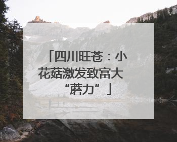 四川旺苍：小花菇激发致富大“蘑力”