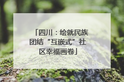 四川：绘就民族团结“互嵌式”社区幸福画卷