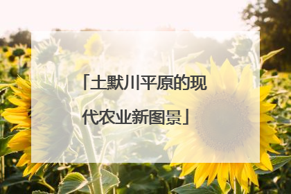 土默川平原的现代农业新图景