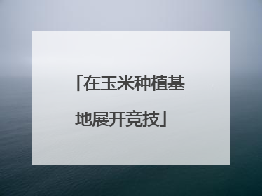 在玉米种植基地展开竞技