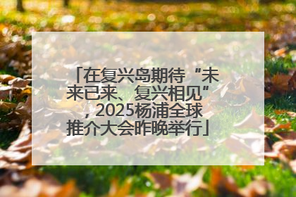 在复兴岛期待“未来已来、复兴相见”，2025杨浦全球推介大会昨晚举行