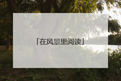 在风景里阅读