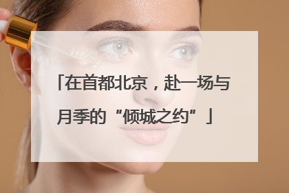 在首都北京，赴一场与月季的“倾城之约”
