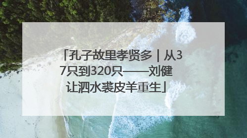 孔子故里孝贤多｜从37只到320只——刘健让泗水裘皮羊重生