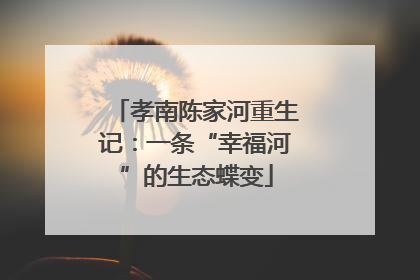 孝南陈家河重生记：一条“幸福河”的生态蝶变