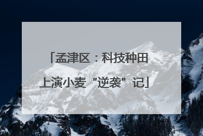孟津区：科技种田 上演小麦“逆袭”记