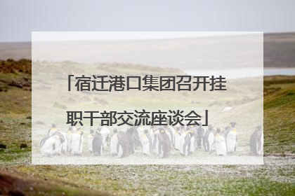 宿迁港口集团召开挂职干部交流座谈会