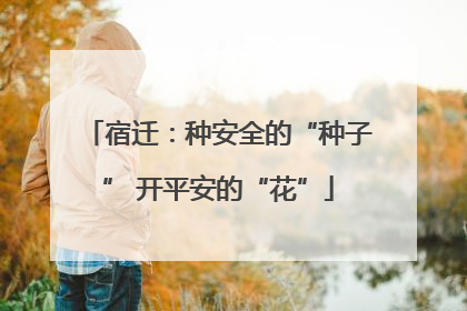 宿迁：种安全的“种子” 开平安的“花”