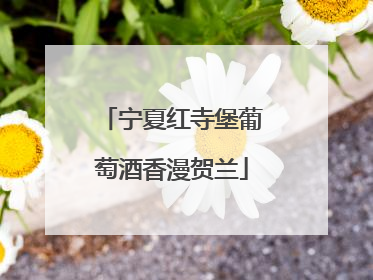宁夏红寺堡葡萄酒香漫贺兰