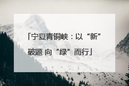 宁夏青铜峡：以“新”破题 向“绿”而行