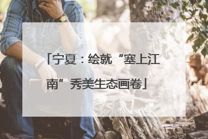 宁夏：绘就“塞上江南”秀美生态画卷