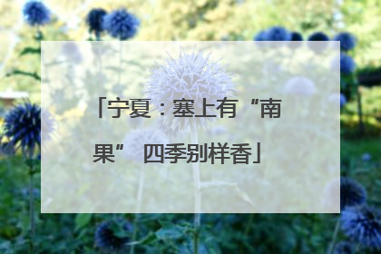 宁夏：塞上有“南果” 四季别样香