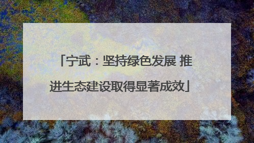 宁武：坚持绿色发展 推进生态建设取得显著成效