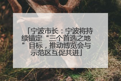 宁波市长：宁波将持续锚定“三个首选之地”目标，推动博览会与示范区互促共进