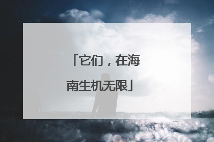 它们，在海南生机无限