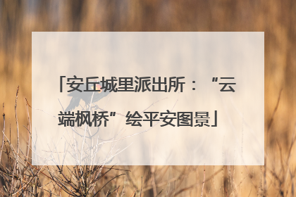 安丘城里派出所：“云端枫桥”绘平安图景