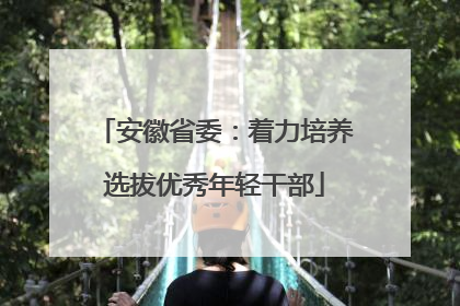 安徽省委：着力培养选拔优秀年轻干部
