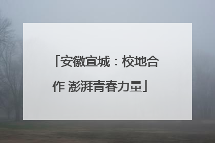 安徽宣城：校地合作 澎湃青春力量