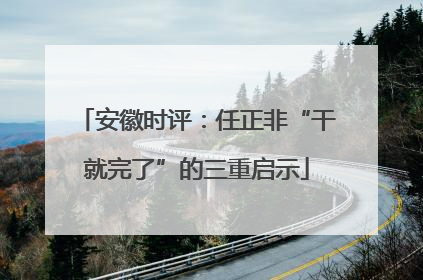 安徽时评：任正非“干就完了”的三重启示
