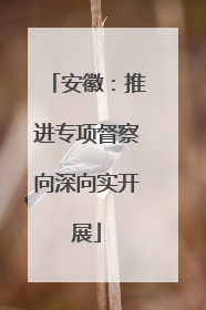 安徽：推进专项督察向深向实开展